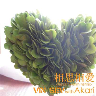 相思相愛 -heart warm remix-/VIN SEV with Akari