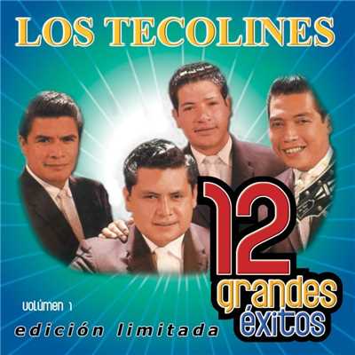 12 Grandes exitos Vol. 1/Los Tecolines