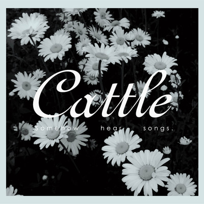 somehow hear songs./cattle