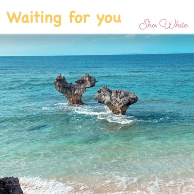 Waiting for You/Sho White