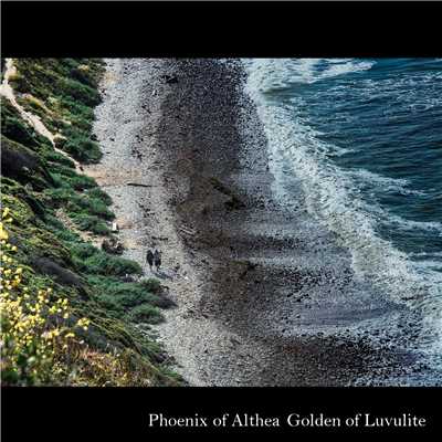 Feverfew on Naples/Golden of Luvulite