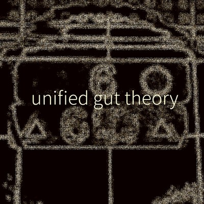 unified gut theory