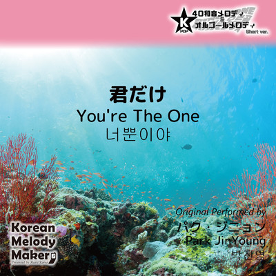 君だけ (You're The One) 〜K-POP40和音メロディ&オルゴールメロディ [Short Version]/Korean Melody Maker