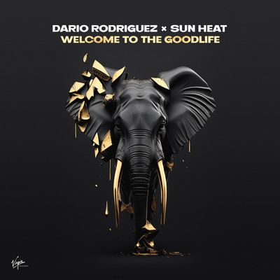 Welcome to the Goodlife/Dario Rodriguez／Sun Heat