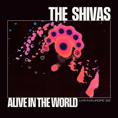 アルバム/Alive in The World/The Shivas