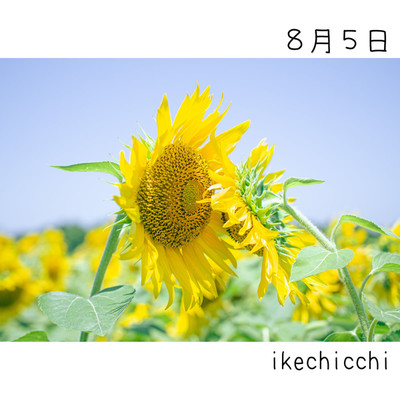 8月5日/ikechicchi