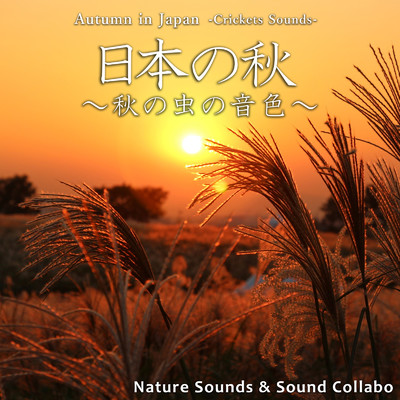 アルバム/日本の秋 ～秋の虫の音色～/自然音 & サウンド・コラボ