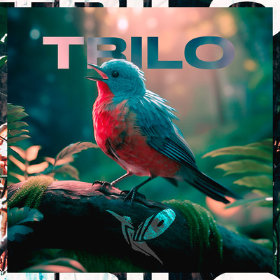 シングル/Ao Proximo (featuring Estevao Queiroga)/Trilo