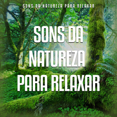 アルバム/Sons da Natureza Para Relaxar/Sons da Natureza para Relaxar
