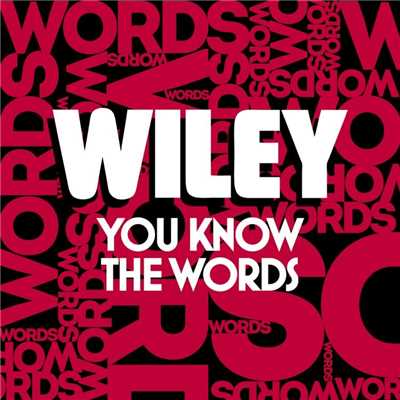 シングル/You Know The Words/Wiley