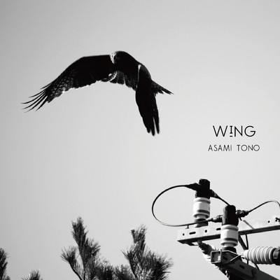 アルバム/Wing/Asami Tono