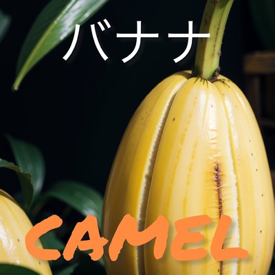 シングル/バナナ/CAMEL