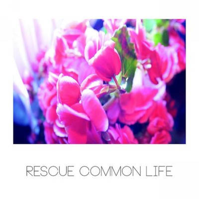 アルバム/Resue Common Life/Noise and milk