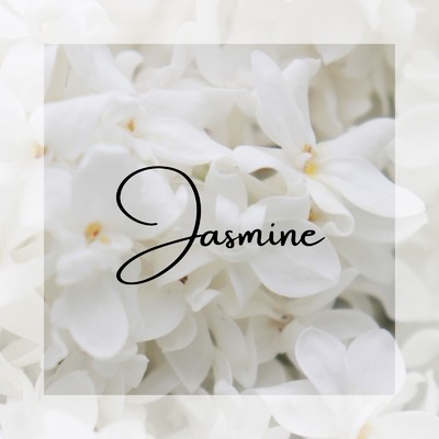 Jasmine/Oregano