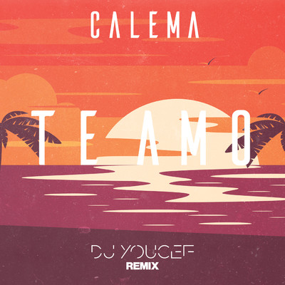 Te Amo (featuring DJ Youcef／DJ Youcef Remix)/Calema