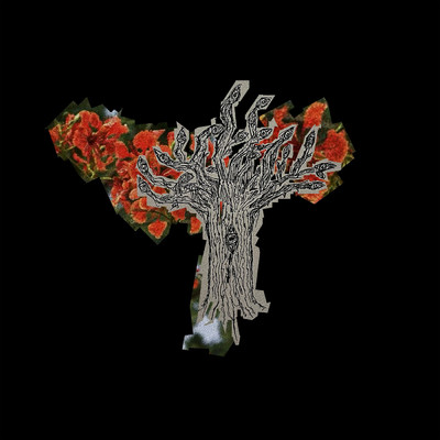 シングル/Orange Trees (Explicit)/Jiubel