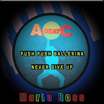NEVER GIVE UP (Extended Mix)/MARIO ROSS
