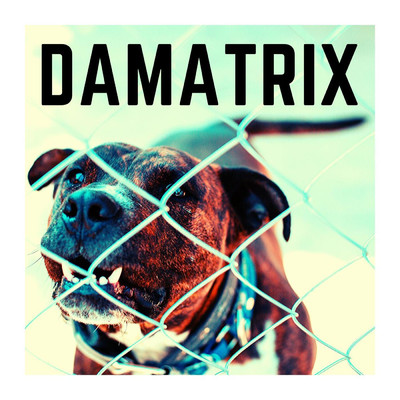 B.A.F. (2020 Instrumental)/DAMATRIX