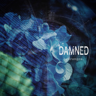 アルバム/hydrangea./DAMNED