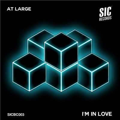 I'm In Love (Kane Towny Remix)/At Large
