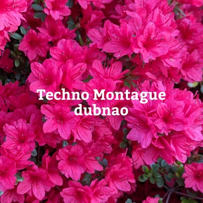アルバム/Techno Montague/dubnao