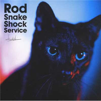 アルバム/Rod Snake Shock Service/Kenichi Asai