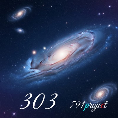 303/791project