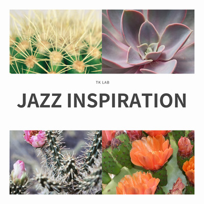 アルバム/JAZZ INSPIRATION/TK lab