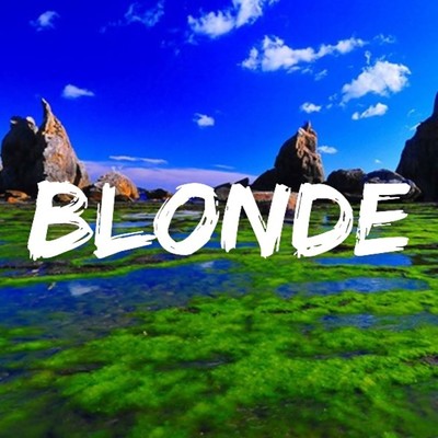 Blonde/Kendrick