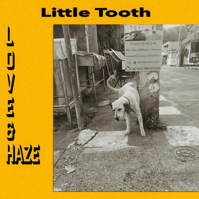Tightrope/Little Tooth
