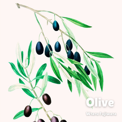 Olive/Wataru Fujiwara