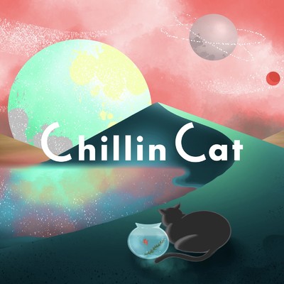 Reflections/Chillin Cat
