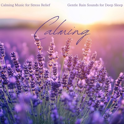 アルバム/Calming Music for Stress Relief 〜 Gentle Rain Sounds for Deep Sleep/Healing Sounds for Deep Sleep