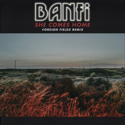 シングル/She Comes Home (Foreign Fields Remix)/Banfi