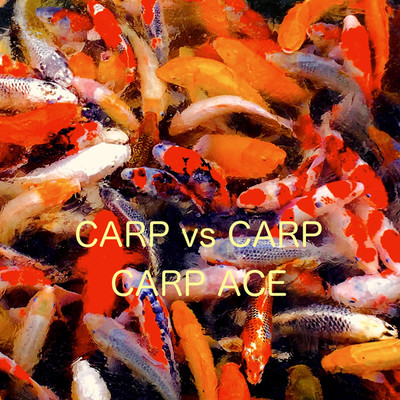 shrimp/Carp Ace