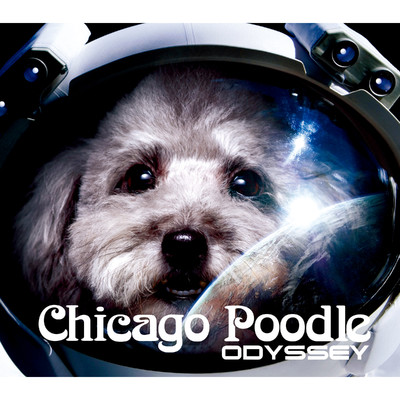 アルバム/ODYSSEY/Chicago Poodle