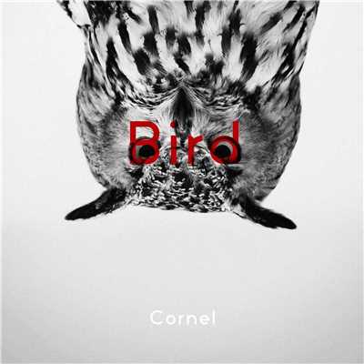 Bird/Cornel