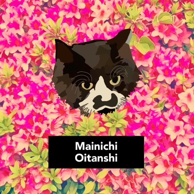 Mainichi/Oitanshi