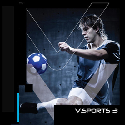 アルバム/V.Sport, Vol. 3/Electronic Genius