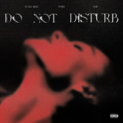 Do Not Disturb (Explicit) (featuring NAV, Yung Bleu)/Vory