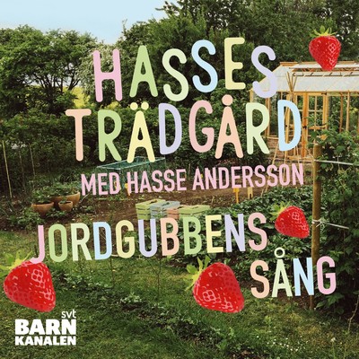 アルバム/Jordgubbens sang/Hasse Andersson