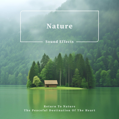 Nature Sound Effects:Return to Nature, the Peaceful Destination of the Heart/Cool Music