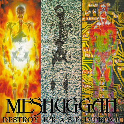 アルバム/Destroy Erase Improve [Japan Edition]/Meshuggah