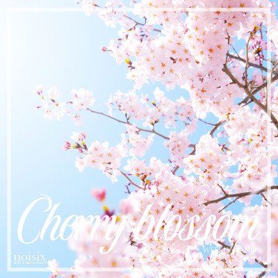チェリーブロッサム ～桜咲く頃～/Weekly Piano