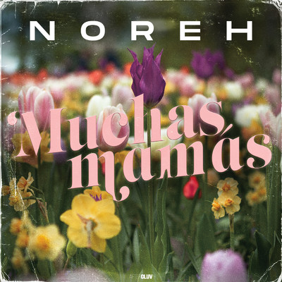 シングル/Muchas Mamas (Version Solo)/Noreh