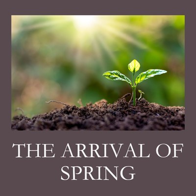 THE ARRIVAL OF SPRING/YUU