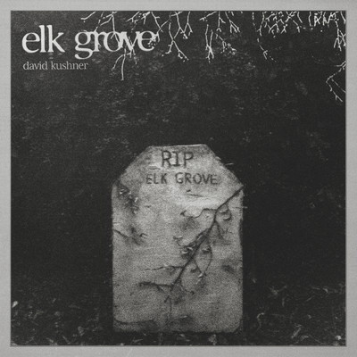 シングル/Elk Grove/David Kushner