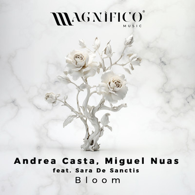 Andrea Casta, Miguel Nuas