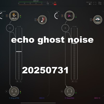 シングル/20250731/echo ghost noise