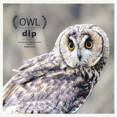 アルバム/OWL/dip